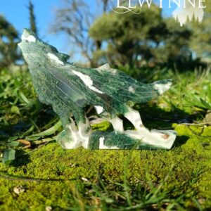 Loup en Agate Mousse 1