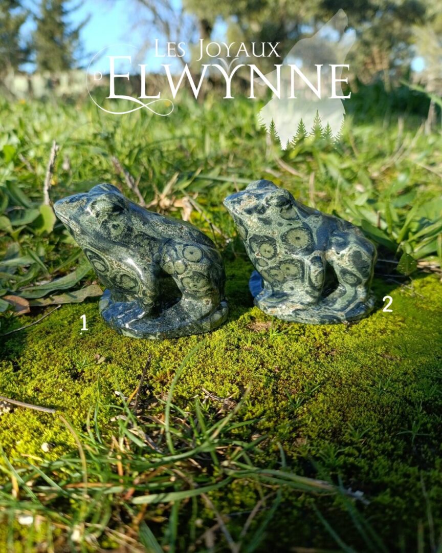 Grenouille en jaspe Kambaba 1 – Image 5