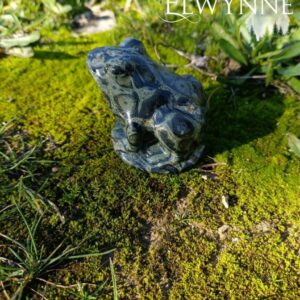 Grenouille en jaspe Kambaba 2