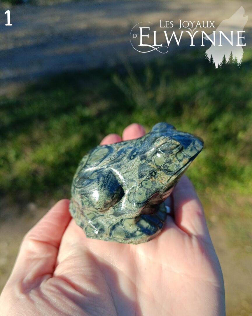 Grenouille en jaspe Kambaba 1 – Image 4