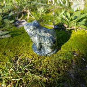 Grenouille en jaspe Kambaba 1