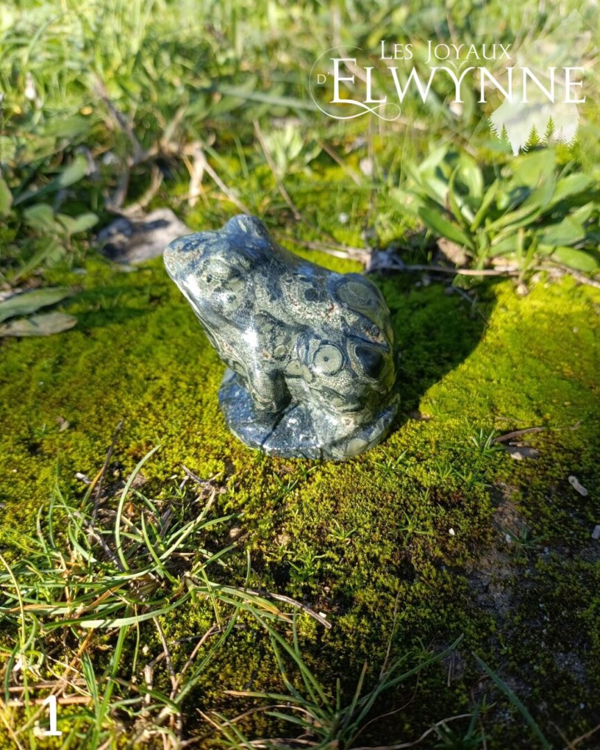 Grenouille en jaspe Kambaba 1