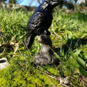 Corbeau en Obsidienne sur sa branche en yooperlite