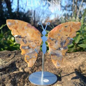 Ailes de papillon en Agate Crazy Lace