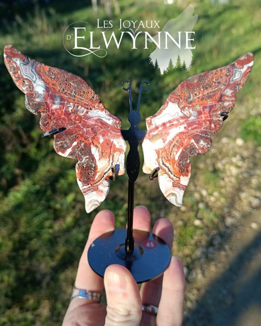 Ailes de papillon en Agate du Mexique – Image 2