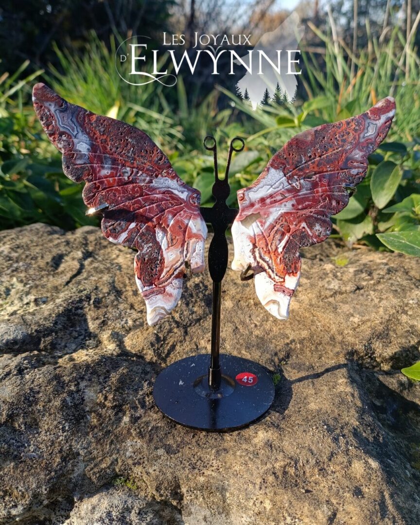 Ailes de papillon en Agate du Mexique
