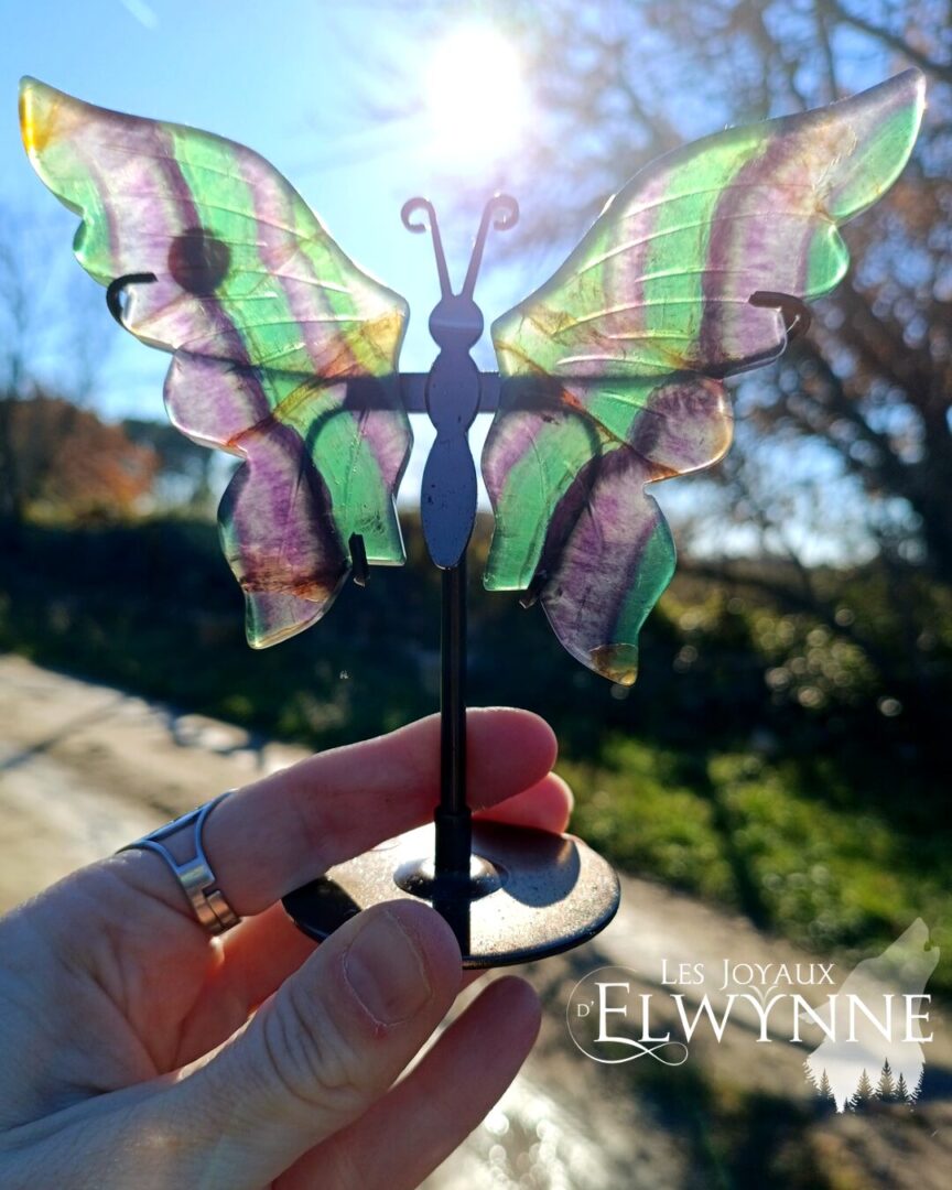Ailes de papillon en Fluorite – Image 2