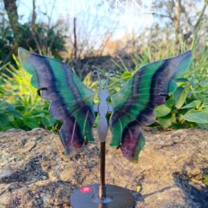 Ailes de papillon en Fluorite