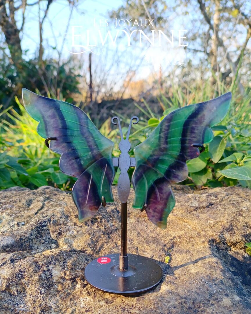 Ailes de papillon en Fluorite