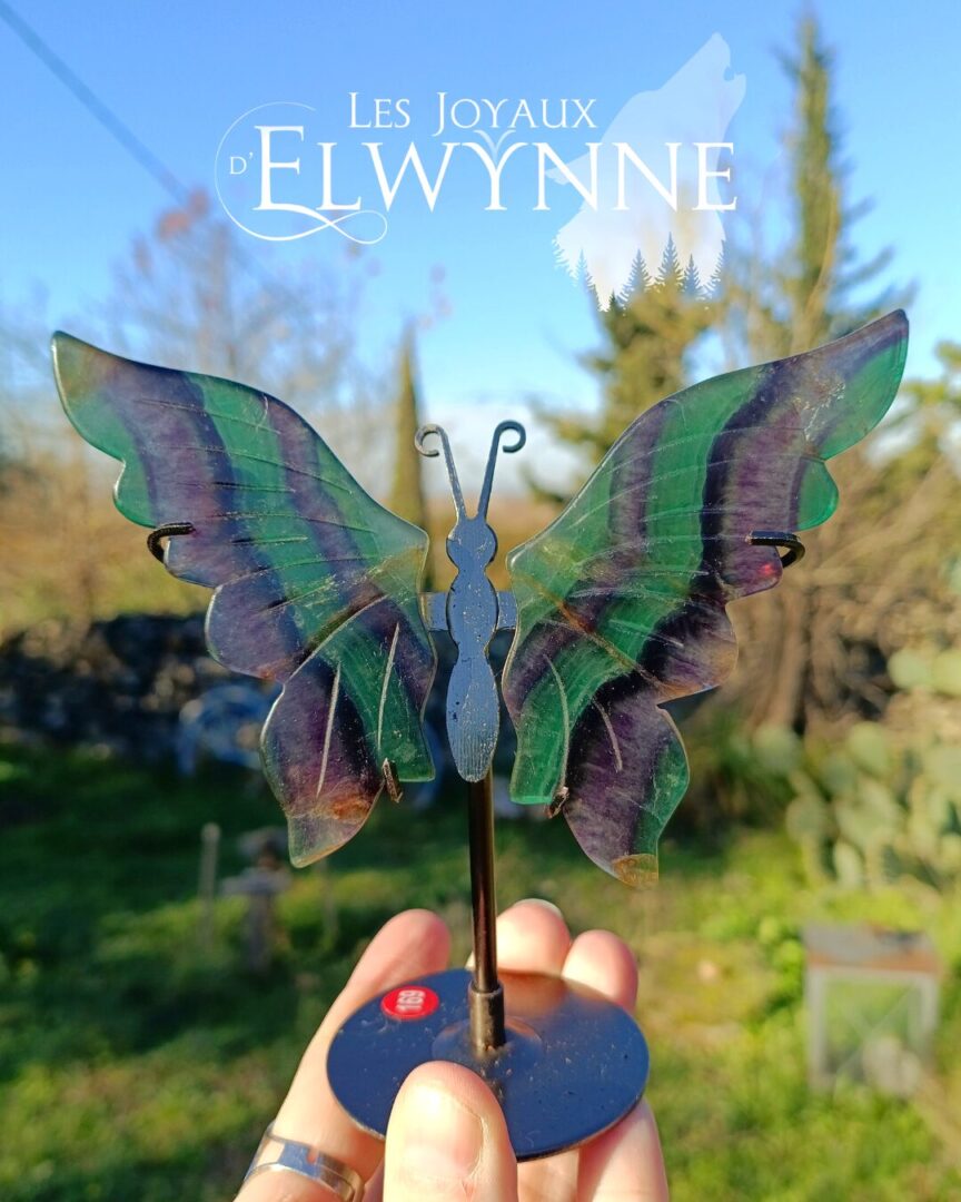 Ailes de papillon en Fluorite – Image 3