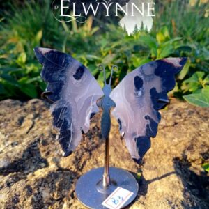 Ailes de papillon en Agate Volcano