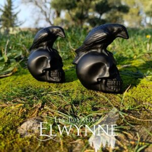 Corbeau sur crâne en Obsidienne noire