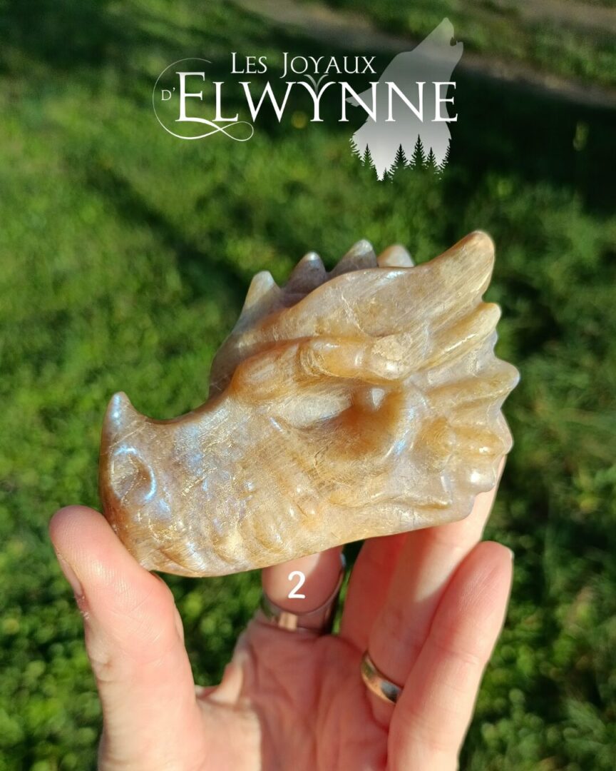 Têtes de Dragon en Pierre de Lune – Image 5