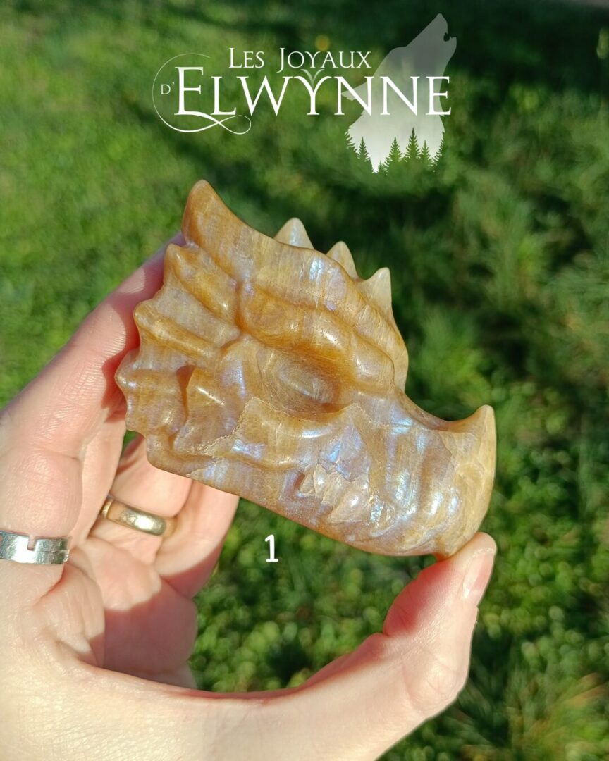 Têtes de Dragon en Pierre de Lune – Image 4