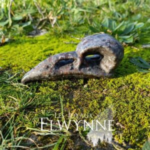 Crâne de corbeau en Yooperlite