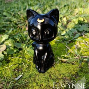 Chat en Obsidienne Noire