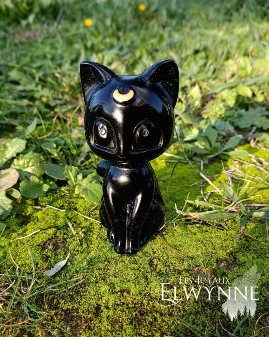 Chat en Obsidienne Noire