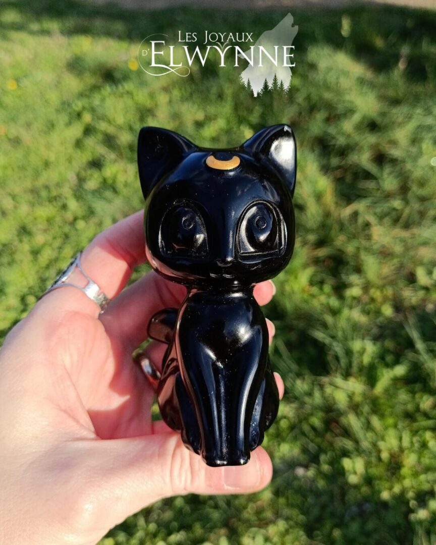 Chat en Obsidienne Noire – Image 2