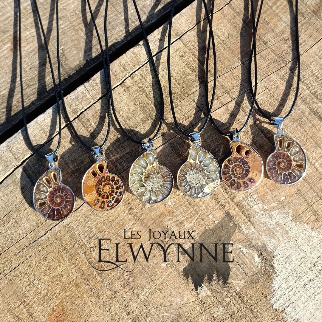 Pendentif Ammonite – Image 3