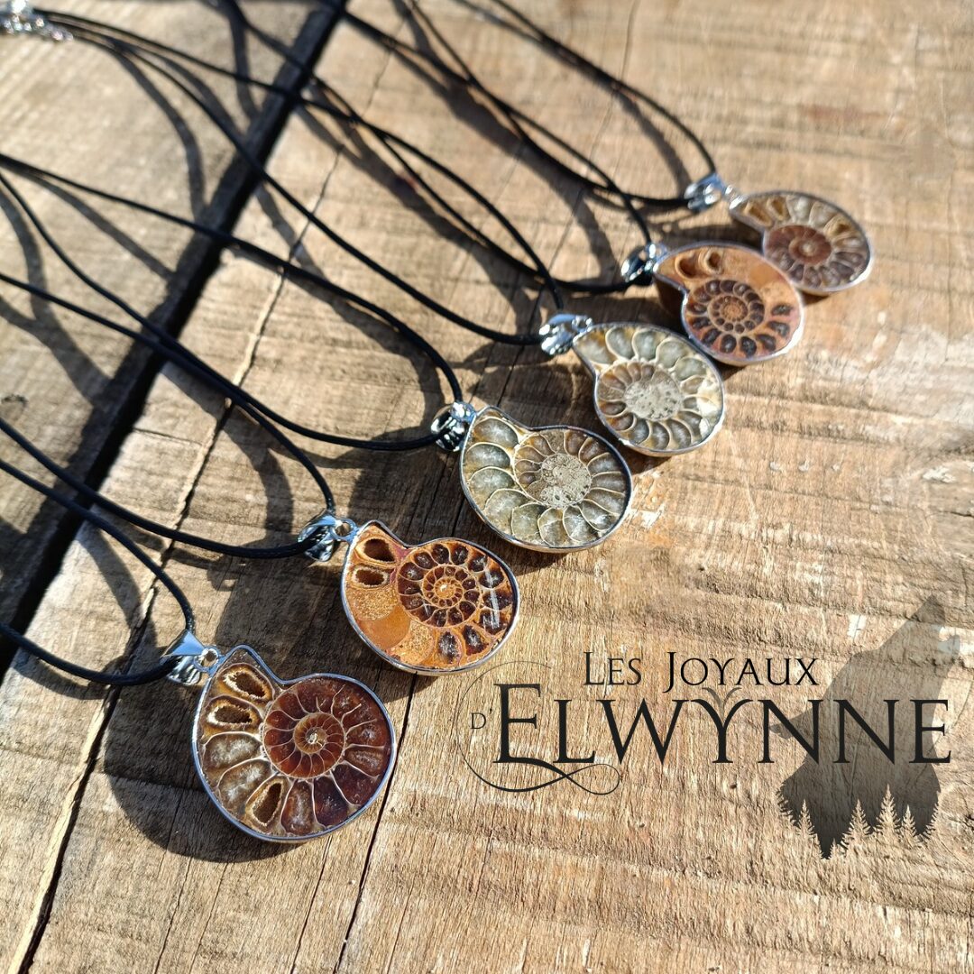 Pendentif Ammonite – Image 2
