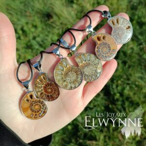 Pendentif Ammonite