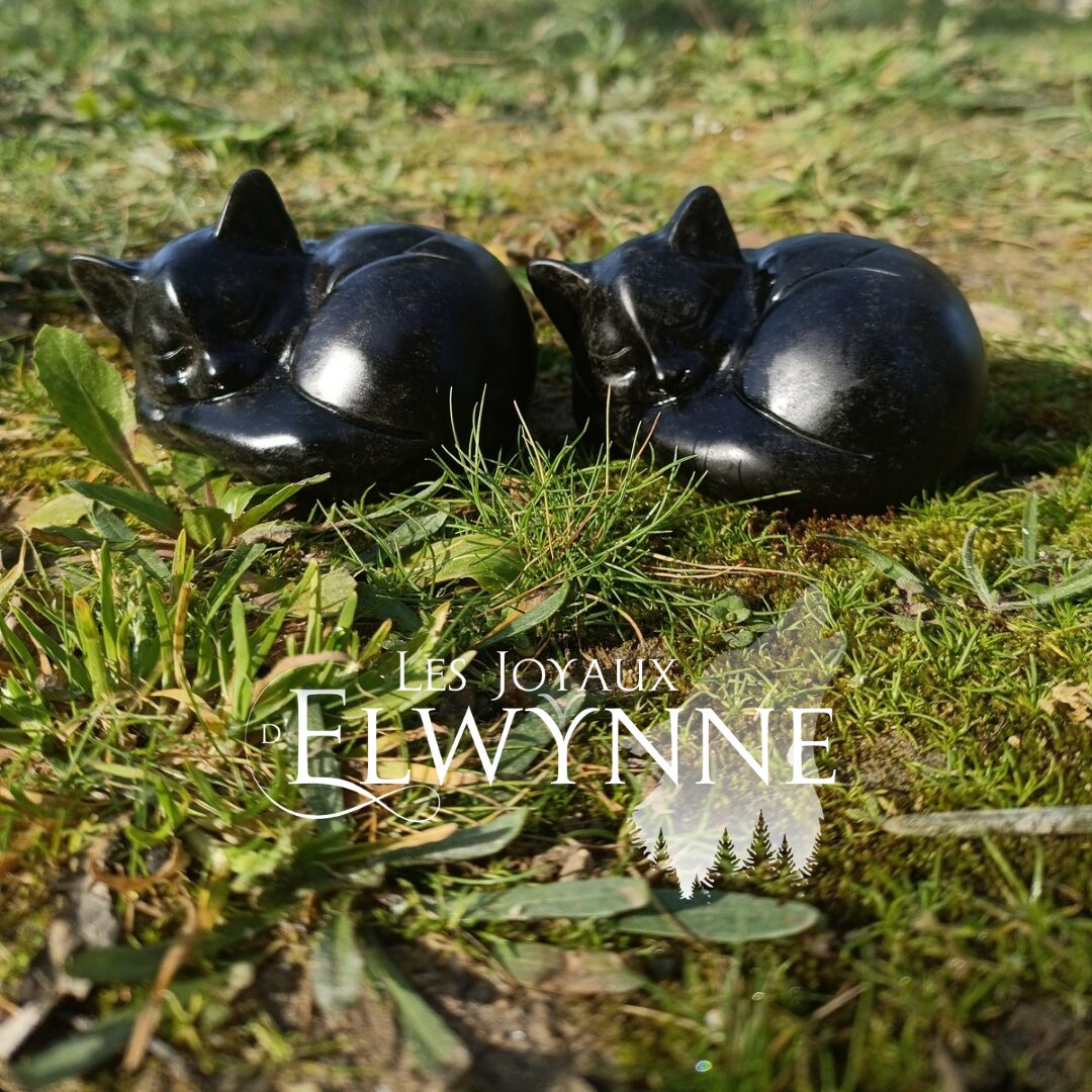 Chat endormi en Obsidienne noire – Image 3