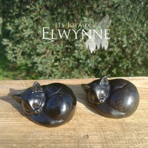 Chat endormi en Obsidienne noire