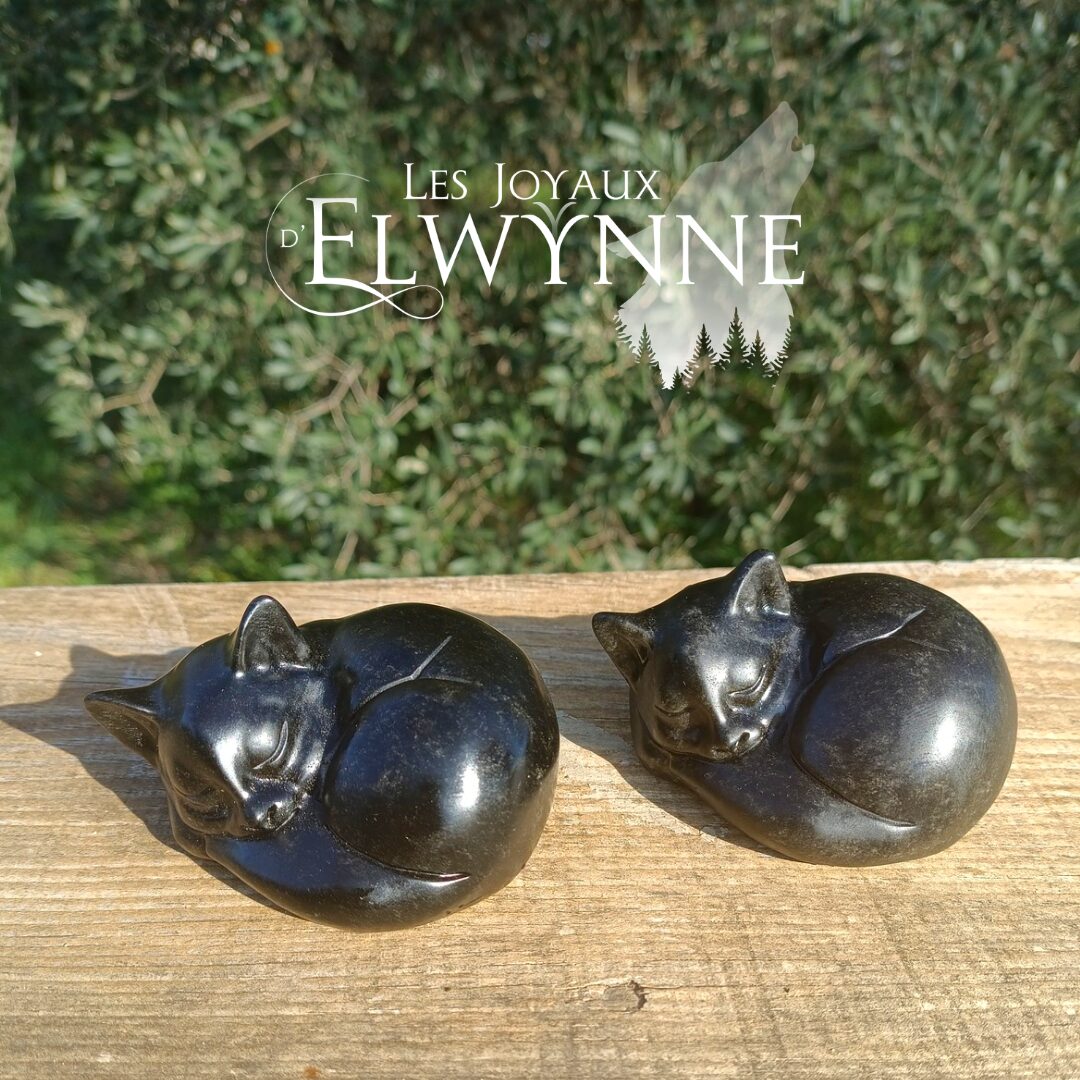 Chat endormi en Obsidienne noire