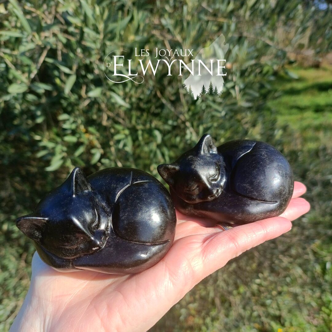Chat endormi en Obsidienne noire – Image 2
