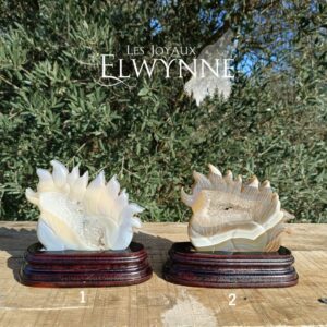 Kitsune (Renard) en Agate Druzy