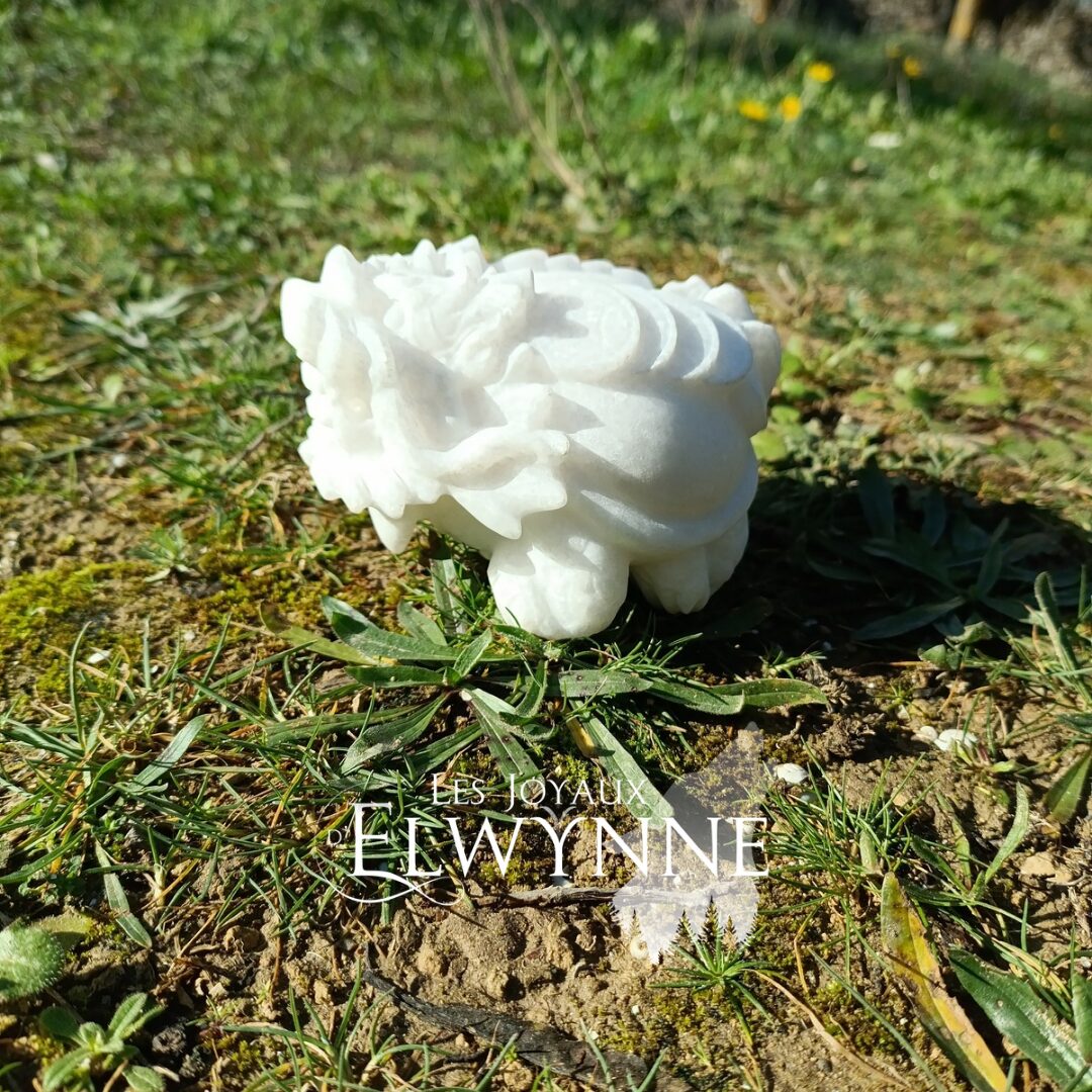 Dragon tortue en Jade Blanc – Image 4
