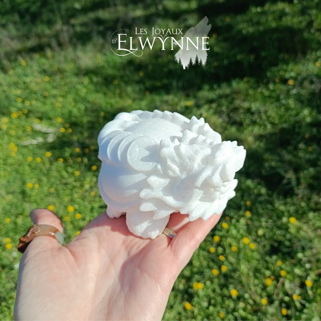 Dragon tortue en Jade Blanc – Image 3