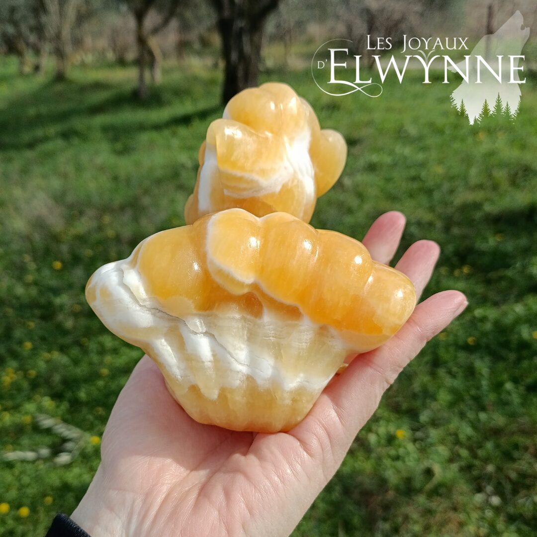 Animal en Calcite orange – Image 6