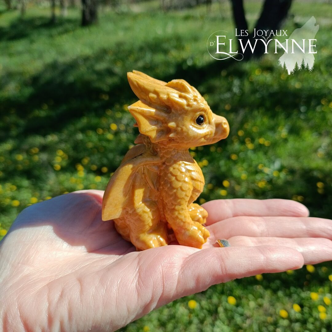 Bébé Dragon – Image 4