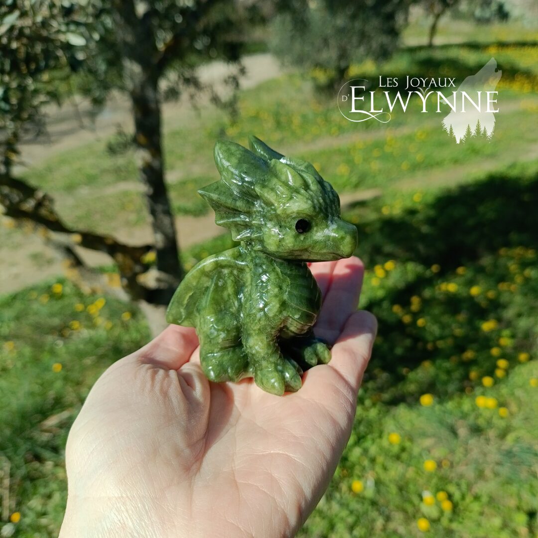 Bébé Dragon – Image 6