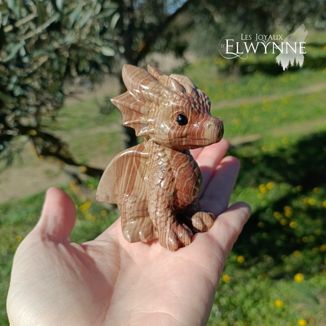 Bébé Dragon – Image 7