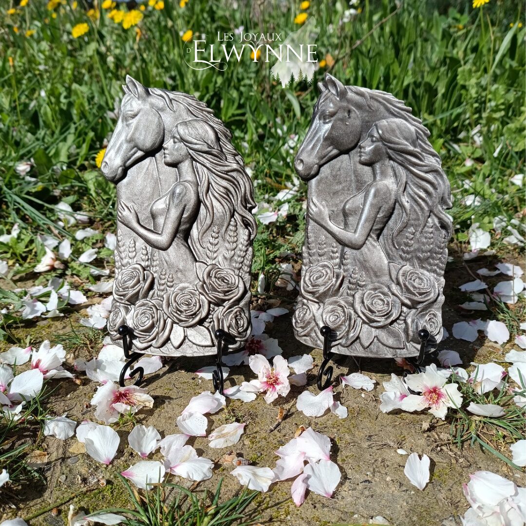 Cheval avec une femme en Obsidienne argentée