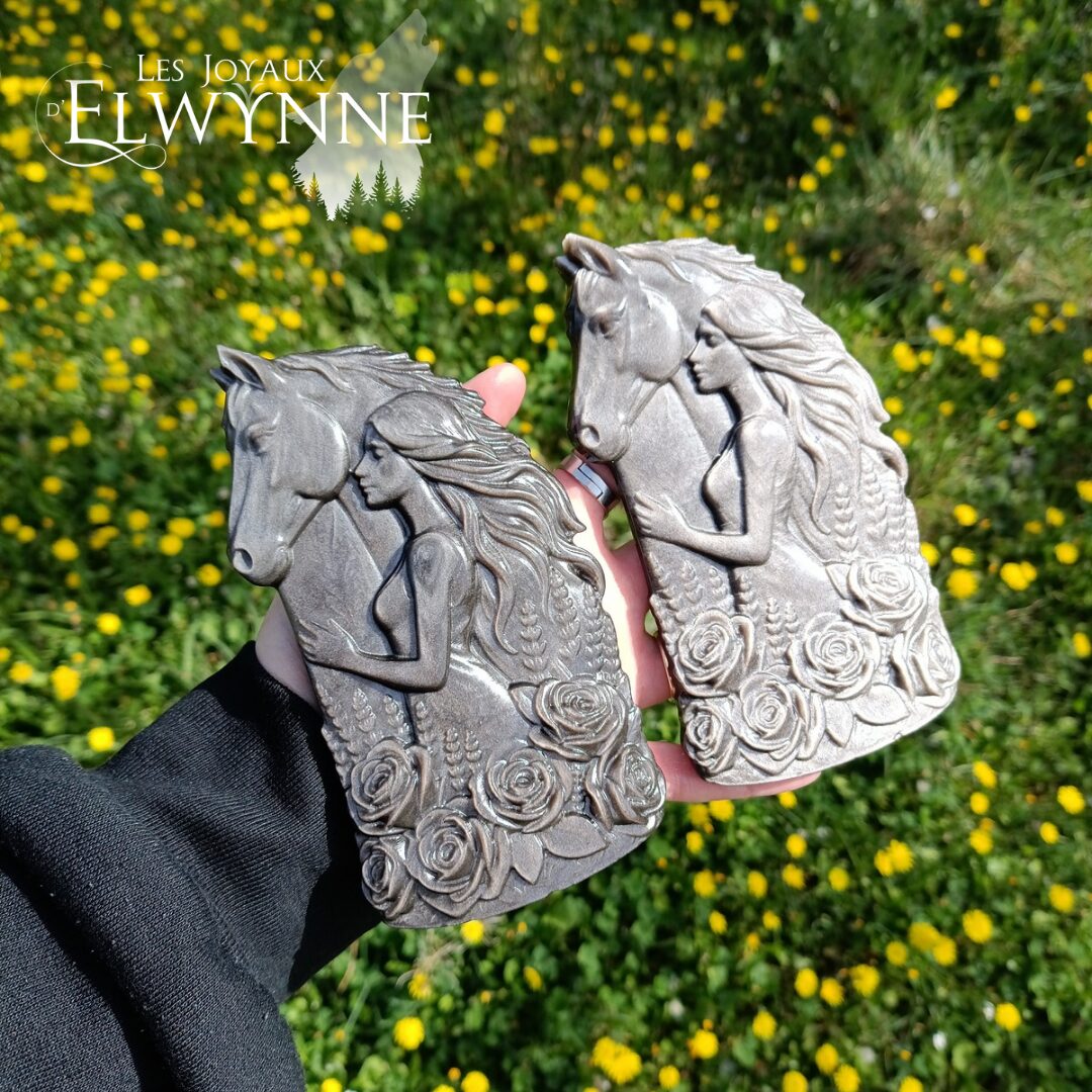 Cheval avec une femme en Obsidienne argentée – Image 2