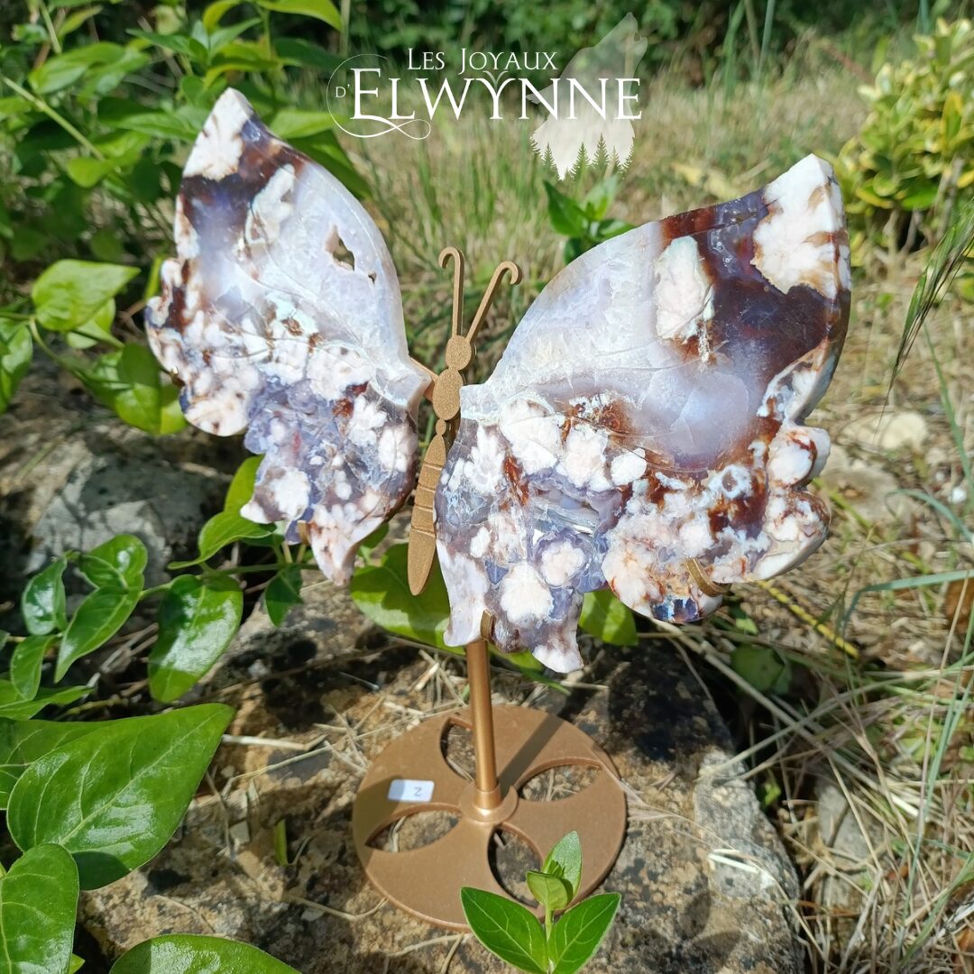 Ailes de papillon en Agate fleur bleue et son support – Image 4